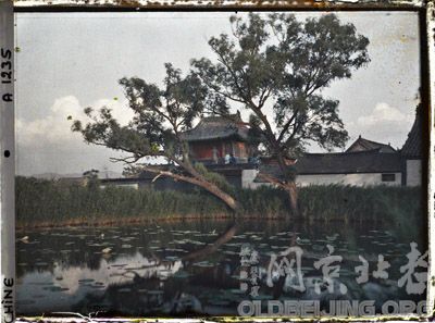 法国人口黑_黑塔利亚法国图片(2)