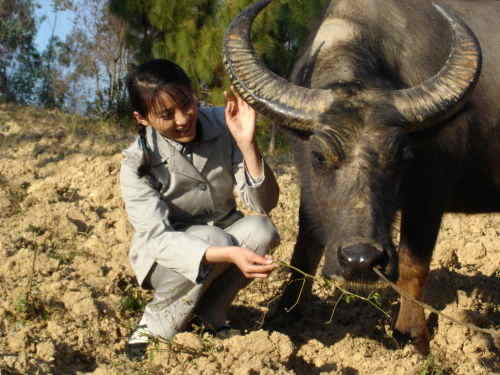 在他的逼问下,凌若冰承认,可彭浩早已经离去.