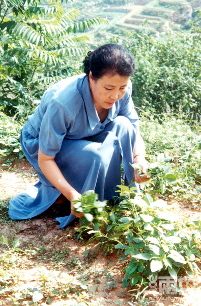 【引用 大寨铁姑娘—郭凤莲的华丽转身