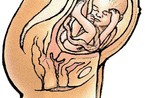 奇！腹中胎儿做鬼脸的样子(组图)
