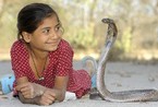 印度8岁女孩与眼镜王蛇同吃同睡(组图)