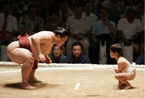 揭秘日本相扑“催肥”的艰辛历程