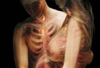 震惊！孕妇X射线艺术照(图)