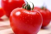 西红柿——科学调查发现，长期经常食用番茄及番茄制品的人，受辐射损伤较轻，由辐射所引起的死亡率也较低。实验证明，辐射后的皮肤中，番茄红素含量减少31%-46%，其他成分含量几乎不变。番茄红素通过猝灭侵入人体的自由基，在肌肤表层形成一道天然屏障，有效阻止外界紫外线、辐射对肌肤的伤害。并可促进血液中胶原蛋白和弹性蛋白的结合，使肌肤充满弹性，娇媚动人。特别值得一提的是，番茄红素还有祛斑、祛色素的功效。