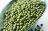 绿豆——民间素有“绿豆汤解百毒”之说。现代医学研究证明，绿豆含有帮助排泄体内毒物，加速新陈代谢的物质，能有效抵抗各种污染，包括电磁污染。