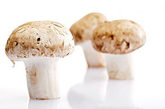 蘑菇

注意：雪白透亮的蘑菇多中看不中吃。

识别方法：有的蘑菇雪白透亮，粒土未沾，价格还便宜，很可能用漂白粉泡过，中看不中吃。好的蘑菇是生长在草灰里的，难免会沾上草灰。而且正常蘑菇摸上去有点黏糊糊的，漂白过的蘑菇摸上去只是光滑，不会有腻腻的手感。

