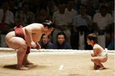 相扑是日本的国粹，是日本人特别喜欢的一项传统体育运动，相扑运动同富士山一样成为日本的代名词。