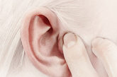 耳朵保养防病大全——1.预防感冒：用拇指、食指相对压迫耳廓上的耳屏，重点按压外鼻、内鼻、咽喉等对应穴位，要求一压一松，用力适中均匀，有一定痛感，每部位做10~30次，双耳交替进行，4~7天为一疗程。或借助钝头的小木棒或火柴棒，面对镜子，按照耳穴图触压耳廓上的外鼻、耳尖、感冒、枕穴等，以能耐受为度，其它同拇指按摩法。具有很好的预防感冒的作用，特别对于那些体弱多病的朋友。