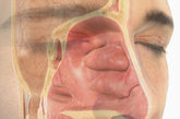 8、鼻窦    又称鼻旁窦、副鼻窦。鼻腔周围多个含气的骨质腔。它们隐蔽在鼻腔旁边，上颌窦位于鼻腔两旁、眼眶上面的上颌骨内；额窦在额骨内；筛窦位于鼻腔上部的两侧，由筛管内许多含气小腔组成；蝶窦在鼻腔后方的喋骨内。它们均以小的开口与鼻腔相通。医生对鼻窦所知不多，但是我们鼻腔附近有多个这样的骨质腔。它们的功能可能包括改变我们说话的音高和语调以及给眼睛降温。（来源：凤凰网健康综合，gettyimages供图）