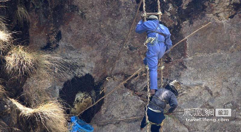 探秘喜马拉雅山中冒死采蜜的尼泊尔人