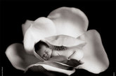 宝宝在馨香中熟睡