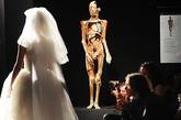 当地时间2011年6月22日，德国柏林上演了一场时尚与死亡的T台秀。设计师Eduard Howhannisjan将秀场搬到德国解剖学家冯-哈根斯博士举办的人体塑化标本展“Body Worlds”举行。正常秀以人类、动物的尸体标本为背景，让最新时装穿梭在标本之间。很多人都想知道马头内部将呈现出怎样一副模样，但普通人很难有这样的机会。巩特尔-冯-哈根斯被称为“死亡博士”，他不仅对类似的问题充满好奇，同时还以一种令人吃惊的方式呈现答案。这位德国解剖学家因举办人体塑化标本展“Body Worlds”备受争议，现在又举办动物塑化标本展“动物标本世界”(Body Worlds of Animals)，展现其在制作标本道路上取得的最新成果。如今，与这些标本更是成为了时尚灵感，来自美国设计师Edward Howhannisjan为了更好的展现自己的时装，让模特与人体标本一起同台献艺。
