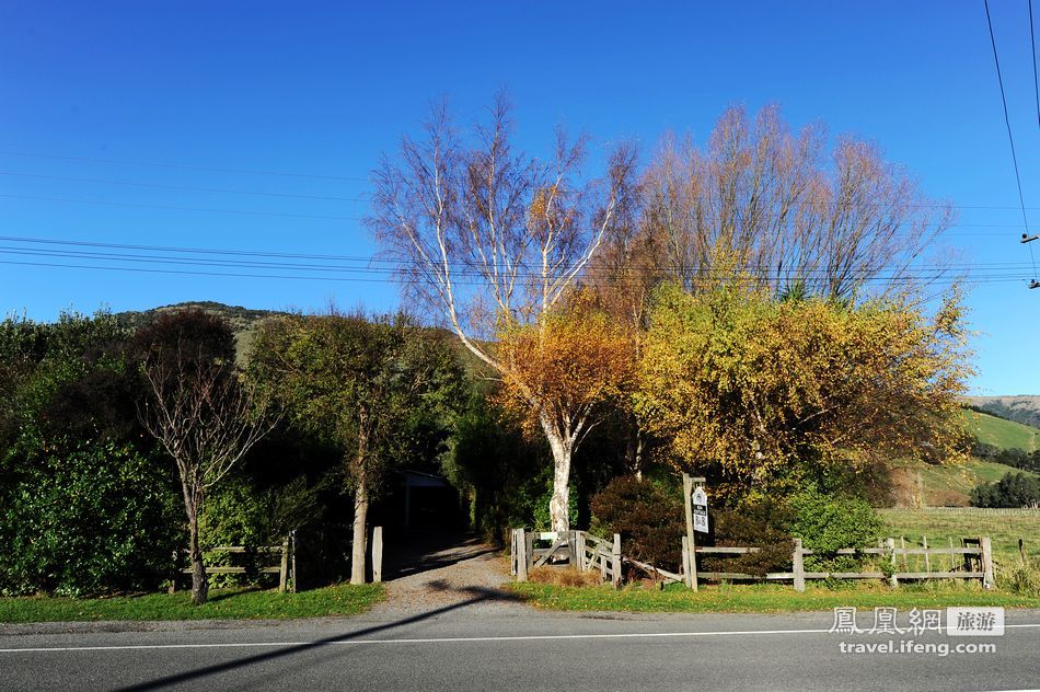 基督城开发初期重要木材来源地little river午餐