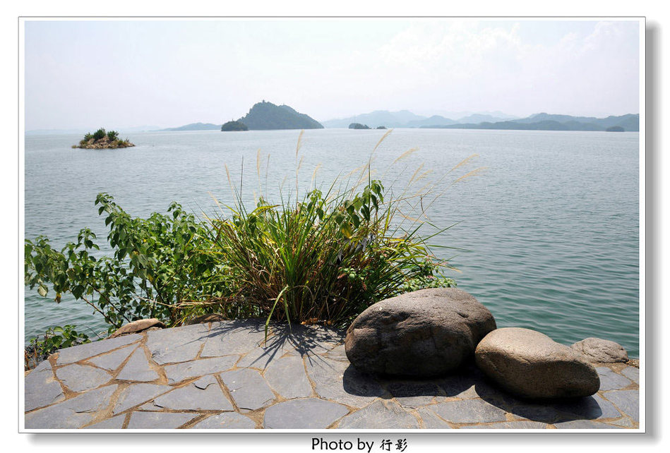 随凉凉清风走进千岛湖鸟岛 赏赏风景听听鸟语