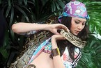模特走秀训练：美女与蛇共舞