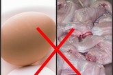 兔肉+鸡蛋：易产生刺激肠胃道的物质而引起腹泻