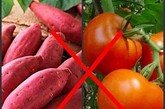 西红柿+地瓜：同食会得结石病、呕吐、腹痛、腹泻