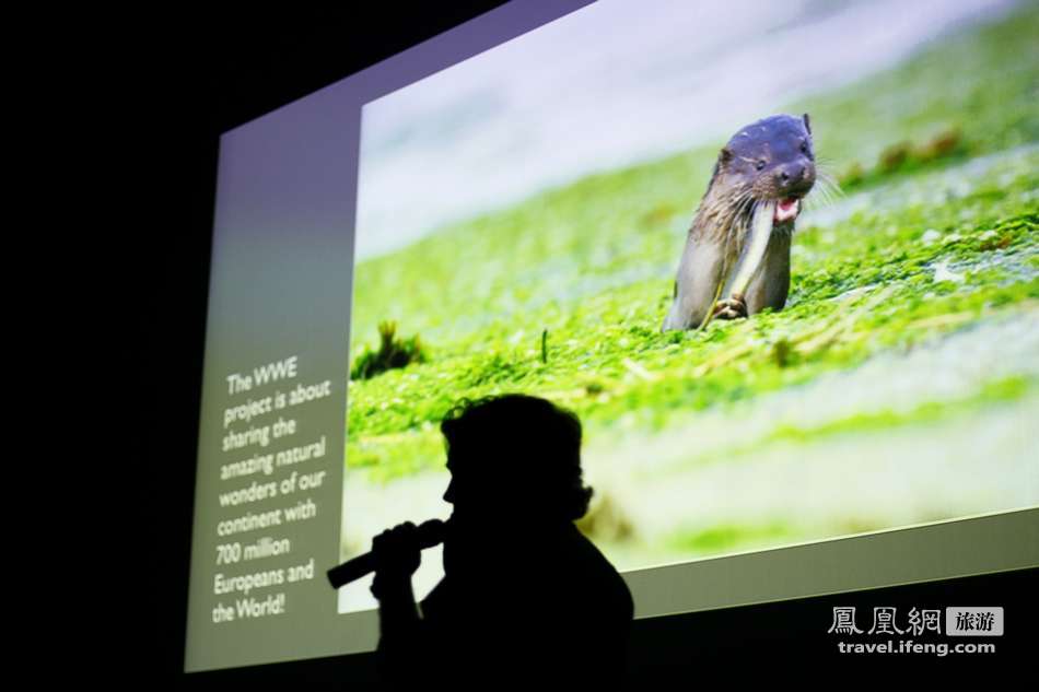 奇境欧洲摄影全球室内巡回展 上海站开幕现场