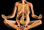 惊奇！孕妇和人体X射线艺术照 