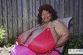美国妇女诺玛·斯提思已经连续12年获得“世界上最大天然乳房”这一吉尼斯世界纪录的“桂冠”。身高1.68米的她体重160公斤，而那对“纯天然”豪乳就重达40磅（18公斤）。