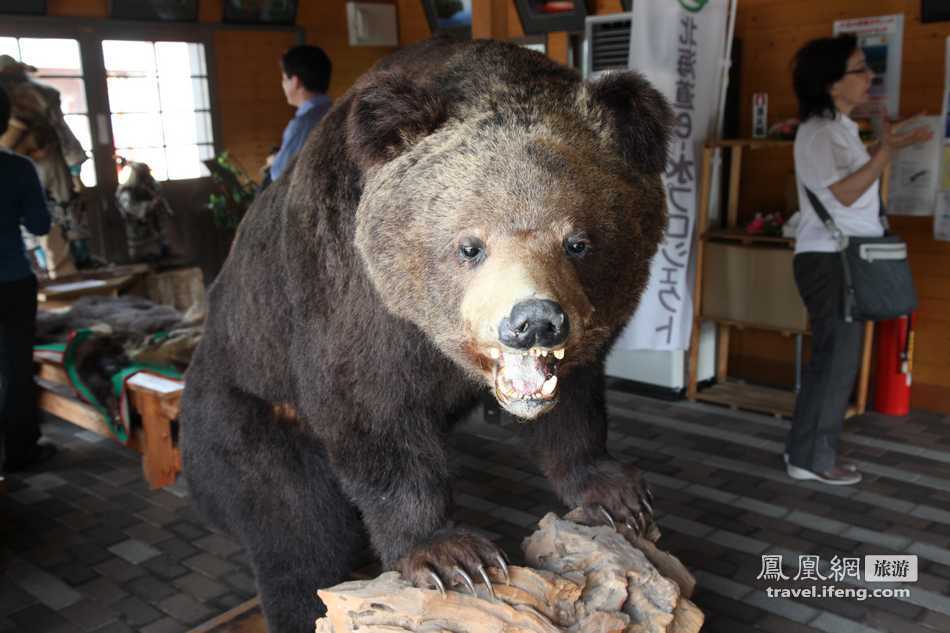 震后亲历日本 直击火山脚下大沼国定公园