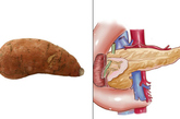 地瓜——胰腺 　　甘薯看起来像胰腺，事实上，它确实能平衡糖尿病患者的血糖指数。