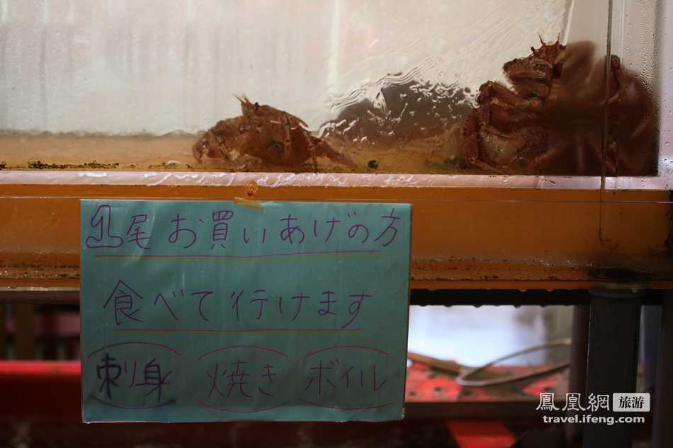 夏日避暑北海道函馆 实拍早市鲜活海产品