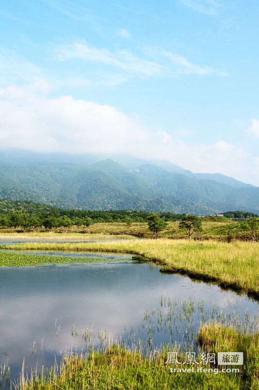 花季走进北海道 漫山遍野花丛中享受浪漫情愫