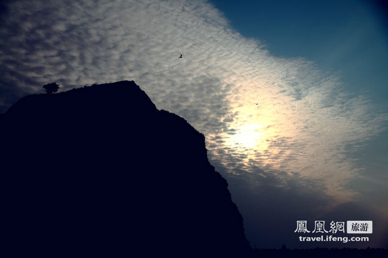 花季走进北海道 漫山遍野花丛中享受浪漫情愫