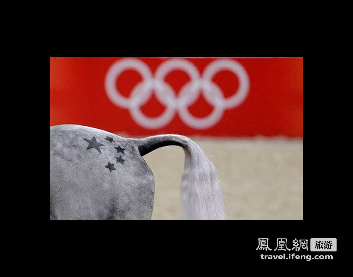 当奥运的希望燃起 记录华天备战奥运的日子
