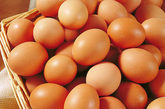 七、鸡蛋 　　鸡蛋是一种高蛋白食物，与人体蛋白质组成相似，所以鸡蛋蛋白质的人体吸收率高达99.7%(牛奶仅为85%)。专家指出，鸡蛋是增强人体性功能的最佳营养添加剂。据说阿拉伯人在婚礼前几天的饮食以葱烧鸡蛋为主，以保证新婚之夜性爱的美满。而印度医生则建议，夫妻在过性生活之前，应多喝由鸡蛋、牛奶和蜂蜜煮成的大米粥。我国民间也流传着新婚晚餐煎鸡蛋的习俗。