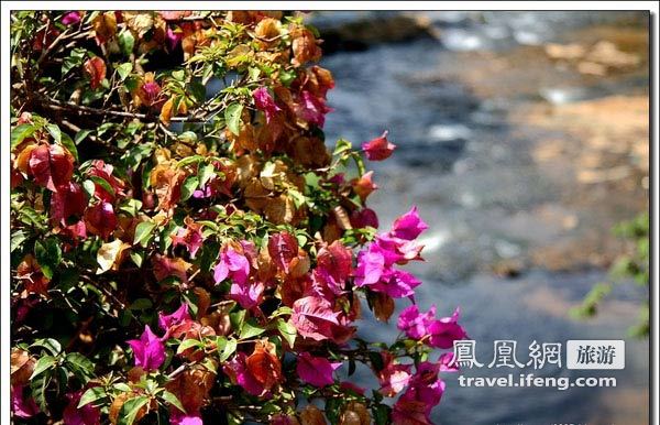 自驾越南鲜花之城大肋 避暑感受法式风情