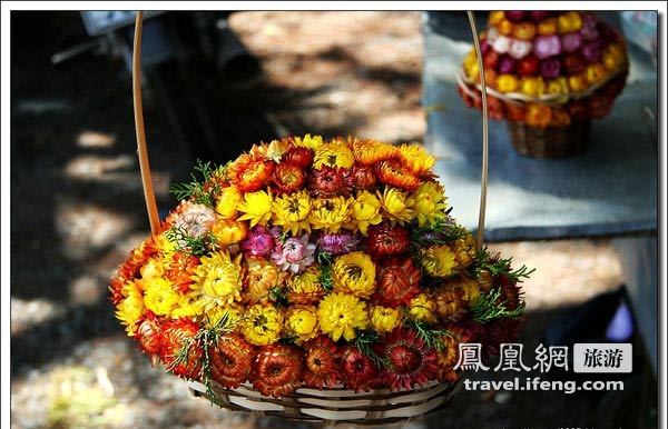 自驾越南鲜花之城大肋 避暑感受法式风情