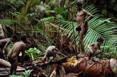 探访地球最后的石器时代生活——澳洲巴布亚新几内亚的土著部落。巴布亚新几内亚也许是这个世界上土著人可以保持其传统生活方式的最后几个家园之一。岛上山峦起伏，峡谷幽深，这种独特的地理条件使现代世界仅存在于沿海地区，在大山面前止步。巴布亚新几内亚全称“巴布亚新几内亚独立国”，位于南太平洋西部， 包括新几内亚岛东半部及附近俾斯麦群岛、布干维尔岛等共约600 余个大小岛屿。