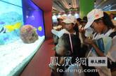 孩子们参观上海海洋馆（图片来源：凤凰网华人佛教  摄影：丹珍旺姆）