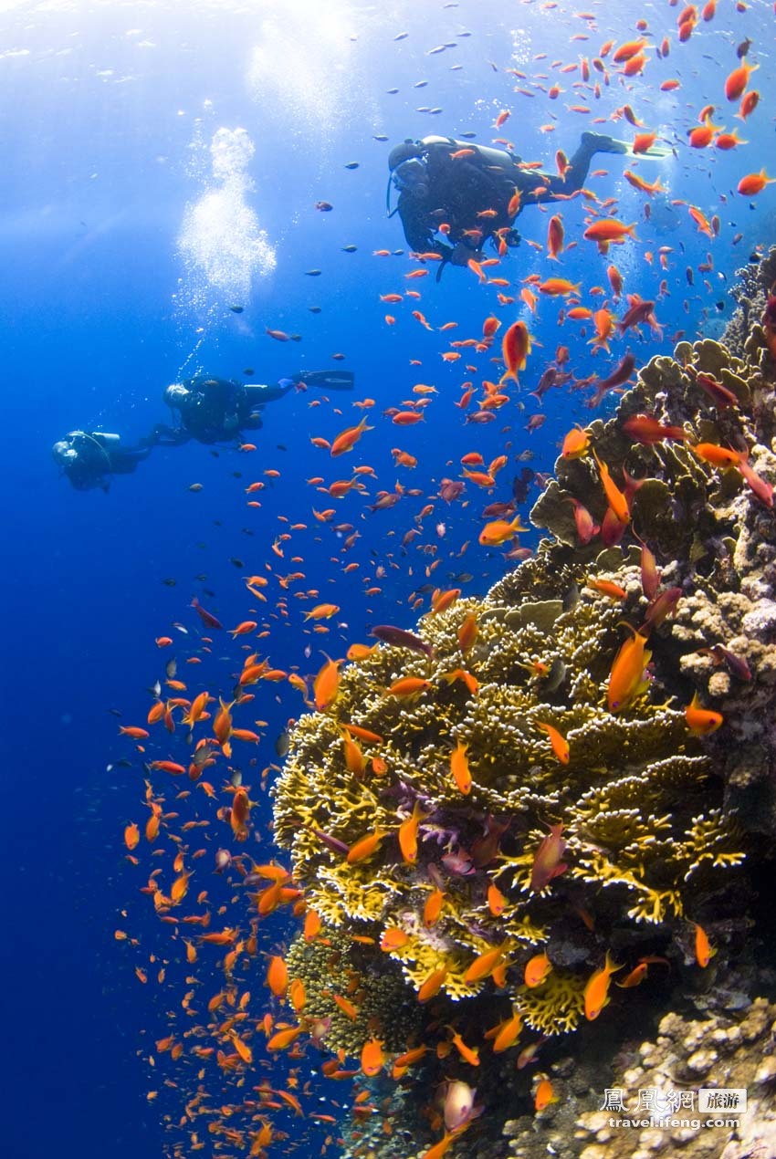 置身海底 世界十大最佳潜水地