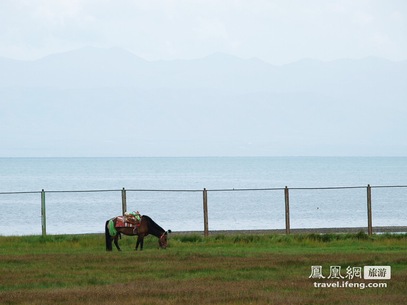 伴游青海湖 环湖写真摄影