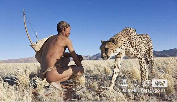 非洲奇观 土著带猎豹一同狩猎