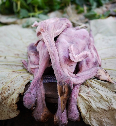 实拍柬埔寨生猛的路边小吃 烤蛤蟆炸小蛇串