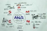 AHA-抗核蛋白抗体的课堂笔记。