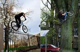 最红极限运动员骑车上墙：2009年4月26日，英国爱丁堡，23岁的小伙子Danny MacAskill在展示他的自行车绝技。因为他能把自行车骑到树上和栏杆上，还能翻越3层楼高的墙壁，MacAskill通过视频网站YouTube迅速走红。