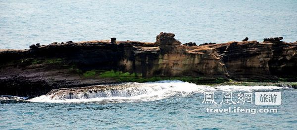 台湾野柳珍奇地形 看风吹成的女王头