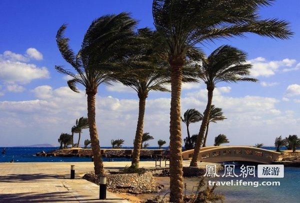 埃及红海自驾游 体验丰富自然人文美景