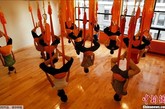 8月16日，美国纽约的一家健身所内，“反重力”瑜伽的练习者们正在吊床上做着各式瑜伽动作。与传统瑜伽不同，“反重力”瑜伽练习者需借助从屋顶吊下的丝质吊床完成所有动作。据悉，这种吊床可以帮助练习者获得更大的灵活度，让动作更为舒展。（图片来源：中国新闻网）