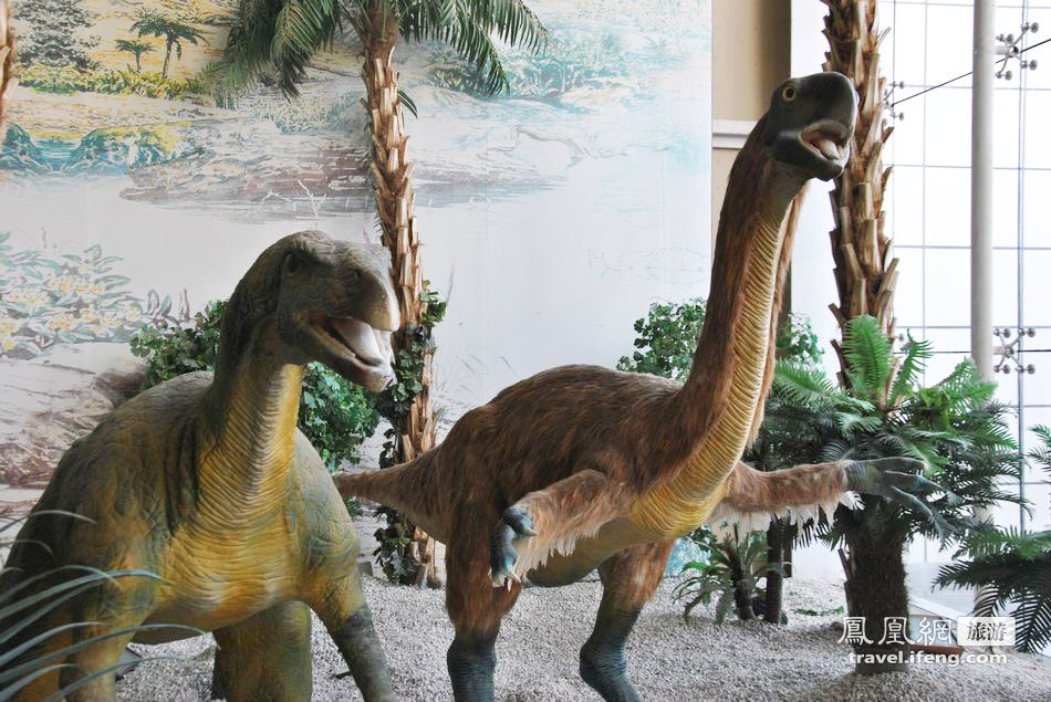 想看真正的恐龙去哪里 探恐龙化石埋藏地