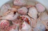鸡头不能吃:我国有句民谚：十年鸡头胜砒霜。为何鸡越老，鸡头毒性就越大呢？医学专家分析，其原因是鸡在啄食中会吃进有害的重金属物。