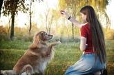 狗是人类最忠实的朋友，这是从人类有历史以来就开始传颂的。狗狗与人类温馨接触的时刻，你的心也许已经被融化。