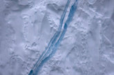 一条高度密实的蓝色冰脉沿着冰山（崩裂形成于格陵兰岛伊卢利萨特附近的格陵兰岛冰原）表面延伸。
