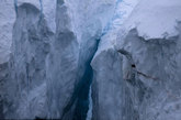 两座冰山相互挤压——均崩裂形成于格陵兰岛伊卢利萨特附近的格陵兰岛冰原。