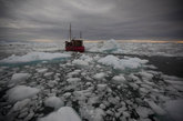 一艘船缓缓地驶过浮冰——这些浮冰是一座来自于格陵兰岛伊卢利萨特以外的格陵兰岛冰原的冰山破裂后留下的。